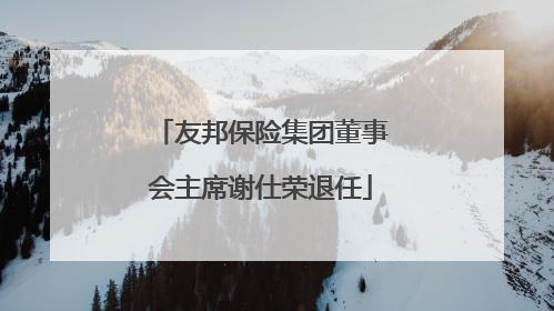 友邦保险集团董事会主席谢仕荣退任