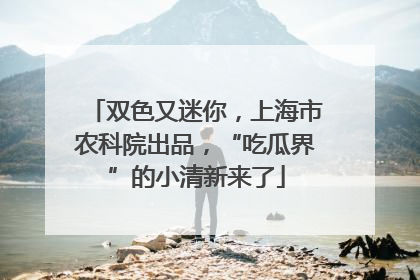 双色又迷你，上海市农科院出品，“吃瓜界”的小清新来了