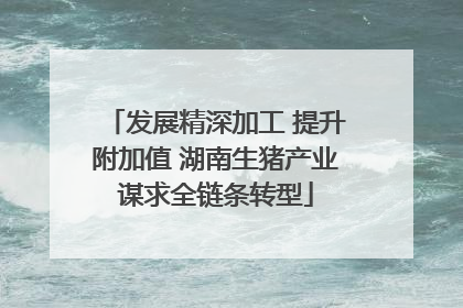 发展精深加工 提升附加值 湖南生猪产业谋求全链条转型