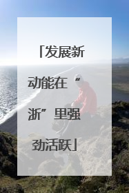 发展新动能在“浙”里强劲活跃