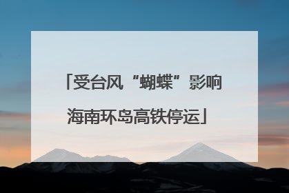 受台风“蝴蝶”影响 海南环岛高铁停运