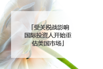 受关税战影响 国际投资人开始重估美国市场