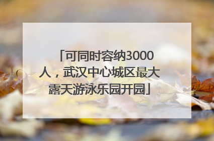 可同时容纳3000人，武汉中心城区最大露天游泳乐园开园