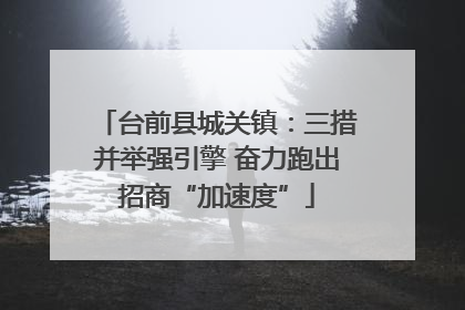 台前县城关镇：三措并举强引擎 奋力跑出招商“加速度”