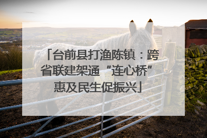 台前县打渔陈镇：跨省联建架通“连心桥” 惠及民生促振兴