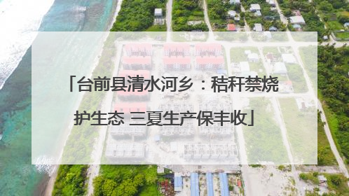 台前县清水河乡：秸秆禁烧护生态 三夏生产保丰收