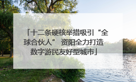 十二条硬核举措吸引“全球合伙人” 资阳全力打造数字游民友好型城市