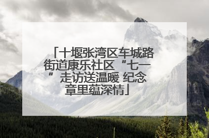 十堰张湾区车城路街道康乐社区“七一”走访送温暖 纪念章里蕴深情