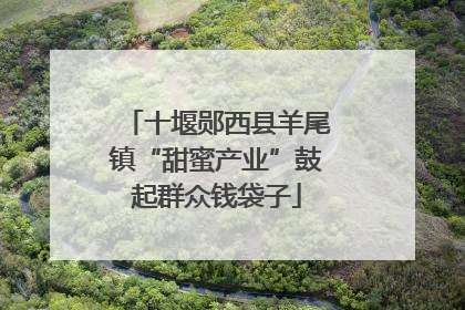 十堰郧西县羊尾镇“甜蜜产业”鼓起群众钱袋子