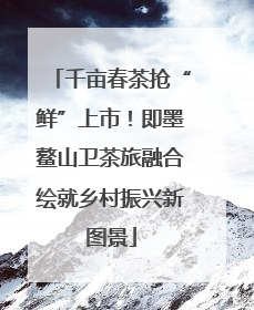 千亩春茶抢“鲜”上市！即墨鳌山卫茶旅融合绘就乡村振兴新图景