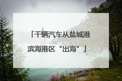 千辆汽车从盐城港滨海港区“出海”