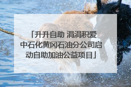 升升自助 涓涓积爱 中石化黄冈石油分公司启动自助加油公益项目