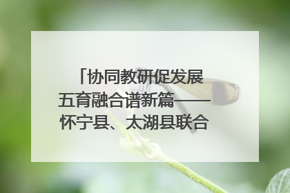 协同教研促发展 五育融合谱新篇——怀宁县、太湖县联合教研活动在月山镇中心学校成功举办
