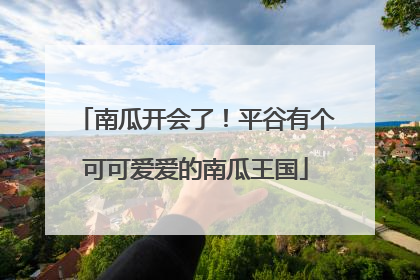 南瓜开会了！平谷有个可可爱爱的南瓜王国