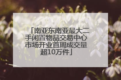南亚东南亚最大二手闲置物品交易中心市场开业首周成交量超10万件