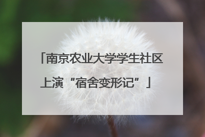 南京农业大学学生社区上演“宿舍变形记”