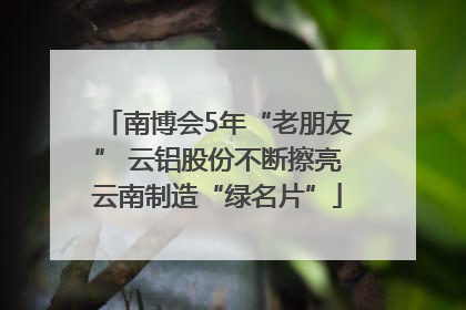 南博会5年“老朋友” 云铝股份不断擦亮云南制造“绿名片”