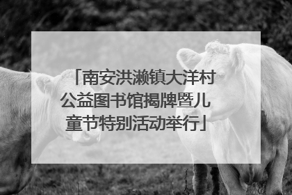 南安洪濑镇大洋村公益图书馆揭牌暨儿童节特别活动举行
