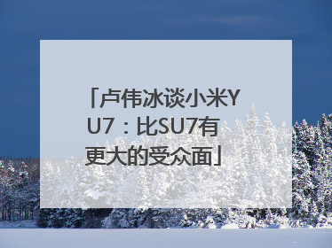 卢伟冰谈小米YU7：比SU7有更大的受众面