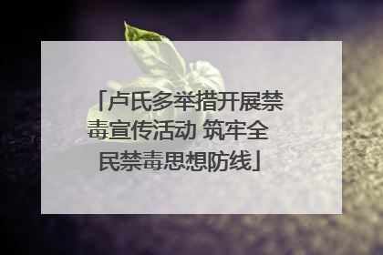 卢氏多举措开展禁毒宣传活动 筑牢全民禁毒思想防线