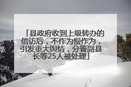 县政府收到上级转办的信访后，不作为慢作为，引发重大舆情，分管副县长等25人被处理