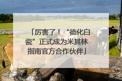 厉害了！“德化白瓷”正式成为米其林指南官方合作伙伴
