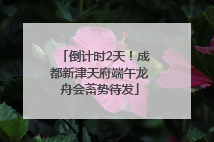 倒计时2天！成都新津天府端午龙舟会蓄势待发