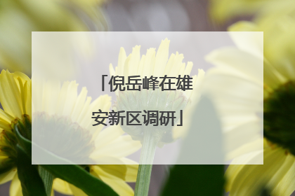 倪岳峰在雄安新区调研