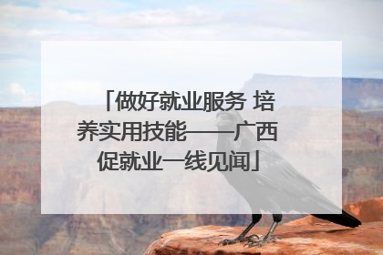 做好就业服务 培养实用技能——广西促就业一线见闻