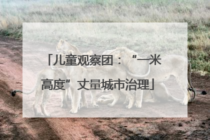 儿童观察团：“一米高度”丈量城市治理