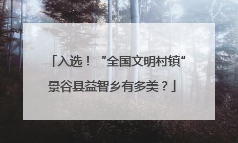 入选！“全国文明村镇”景谷县益智乡有多美？