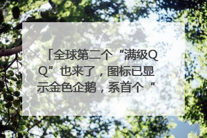 全球第二个“满级QQ”也来了，图标已显示金色企鹅，系首个“满级QQ”的小号