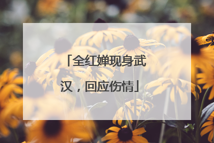 全红婵现身武汉，回应伤情