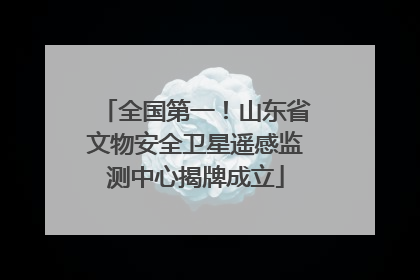 全国第一！山东省文物安全卫星遥感监测中心揭牌成立