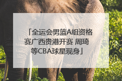 全运会男篮A组资格赛广西贵港开赛 周琦等CBA球星现身