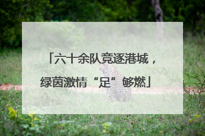六十余队竞逐港城，绿茵激情“足”够燃