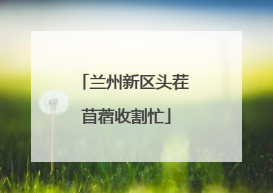 兰州新区头茬苜蓿收割忙