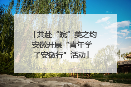 共赴“皖”美之约 安徽开展“青年学子安徽行”活动