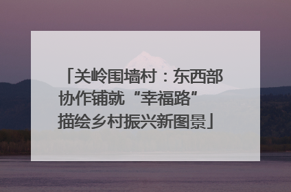 关岭围墙村：东西部协作铺就“幸福路” 描绘乡村振兴新图景