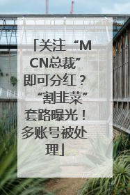关注“MCN总裁”即可分红？“割韭菜”套路曝光！多账号被处理