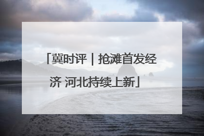 冀时评｜抢滩首发经济 河北持续上新