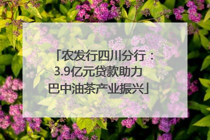 农发行四川分行：3.9亿元贷款助力巴中油茶产业振兴