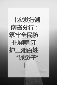 农发行湖南省分行：筑牢全民防非屏障 守护三湘百姓“钱袋子”