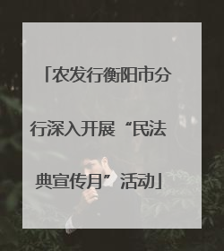 农发行衡阳市分行深入开展“民法典宣传月”活动