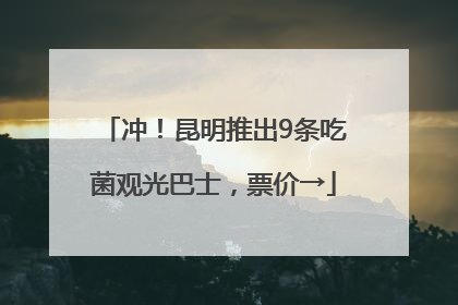 冲！昆明推出9条吃菌观光巴士，票价→