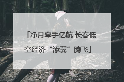 净月牵手亿航 长春低空经济“添翼”腾飞