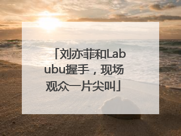 刘亦菲和Labubu握手，现场观众一片尖叫