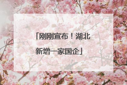 刚刚宣布！湖北新增一家国企
