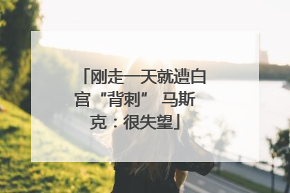刚走一天就遭白宫“背刺” 马斯克：很失望