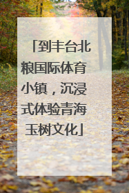 到丰台北粮国际体育小镇，沉浸式体验青海玉树文化